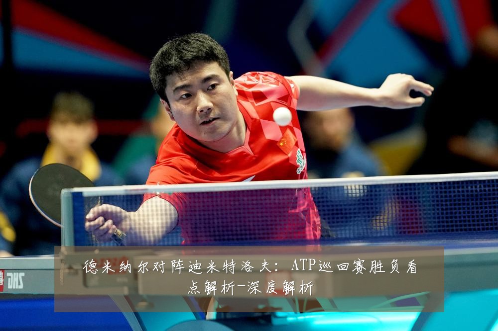 德米纳尔对阵迪米特洛夫:ATP巡回赛胜负看点解析-深度解析